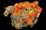 Wulfenite Crystal Cluster - Rowley Mine, AZ #76900-1